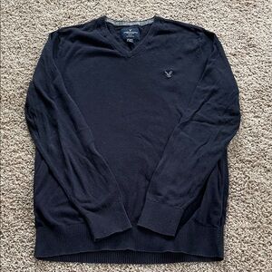 Men's American Eagle V-Neck Sweater